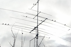 CQWWSSB1sm