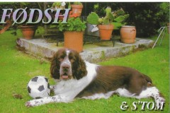 FØDSH/P - 03/07/2004 - 2M - SSB - 59