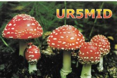 UR5MID - 26/07/2003 - 20M - SSB - 59