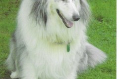 2EØVRG - 16/09/2007 - 80M - SSB - 58