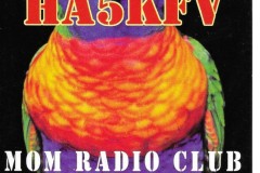 HA5KFV - 24/05/2003 - 20M - CW - 599