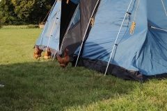 544544706_2304359200016369_6446221182305351571_n