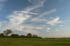 Field-Day-12